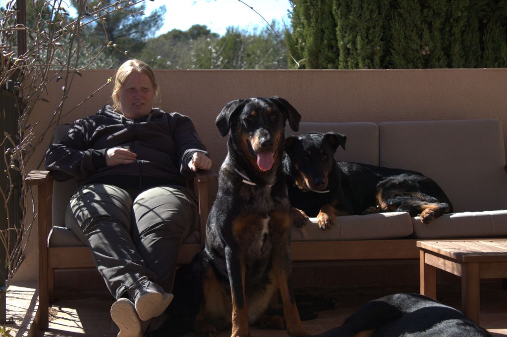 Nos chiens en vacances
